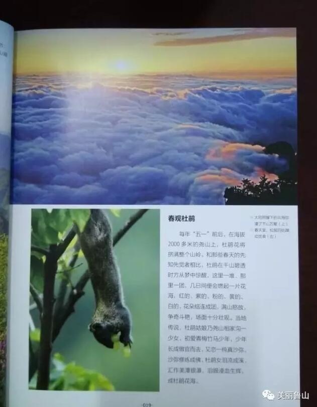 /upload/article/2017/04/21/13cf8d2a-f823-401e-a0cd-9662d5a21eb2.jpg