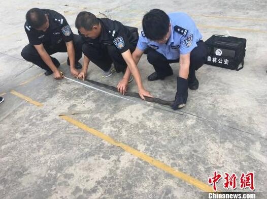 /upload/article/2017/05/12/a9b3b273-9a7e-4db2-a0f5-efb51cc25c21.jpg
