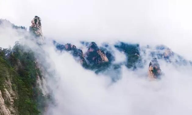 /upload/article/2017/06/30/08b0f512-f7be-4f81-956c-cc0c86f446f5.jpg