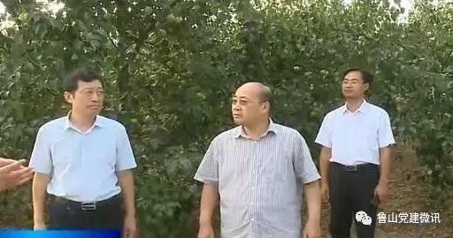 /upload/article/2017/07/28/9a2929b8-b26c-4fb7-a81b-d7e693948de4.jpg