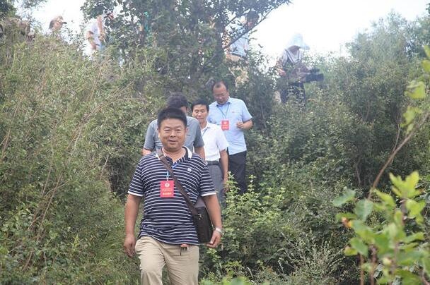 /upload/article/2017/08/20/61a02dfb-67e9-4cbe-bf1e-dc3e0a0d5d6e.jpg