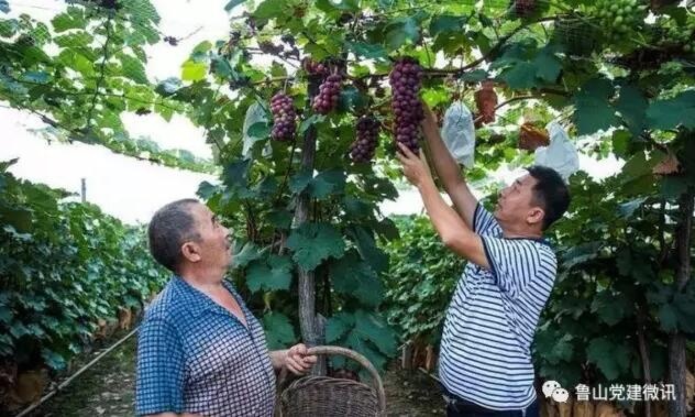 /upload/article/2017/08/20/c89ec9ca-d2f6-4e65-983c-cee727445d93.jpg