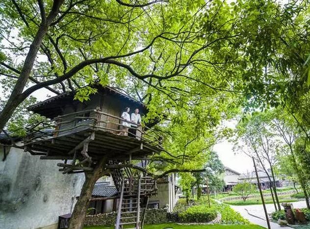 /upload/article/2017/09/05/ca567b35-7f03-4c05-b849-3e168bac52e1.jpg