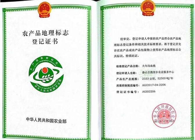 /upload/article/2018/02/06/4df394fe-c395-4355-bf92-29cd7e806274.jpg