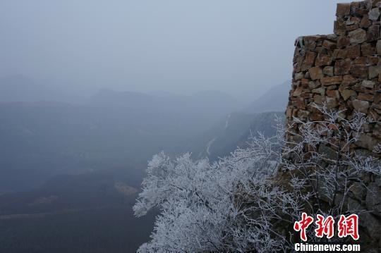 /upload/article/2018/02/10/61295dbe-4abb-4ed0-b3d7-0d93e5dbde5e.jpg