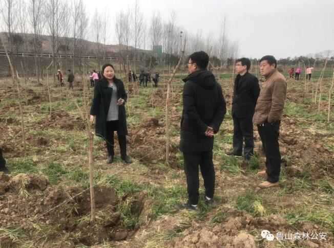 /upload/article/2018/03/21/222caf0c-4964-4e23-8440-f27188f6f603.jpg