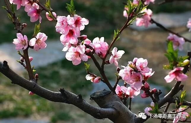/upload/article/2018/03/24/fe505c4a-7559-4a3f-baf9-5ea90658ce57.jpg