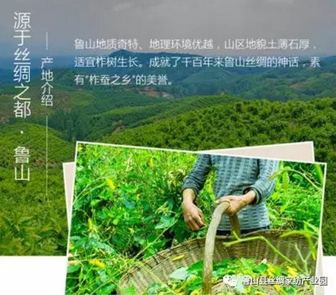 /upload/article/2018/03/26/ed06a261-db6e-4367-b42d-ee13ca364068.jpg