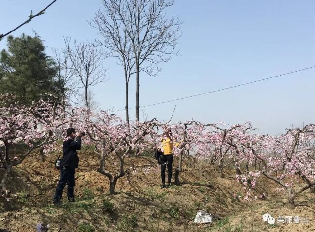 /upload/article/2018/03/29/16e0d8ed-da03-4b72-b978-04e27c8e0541.jpg