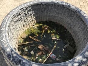 /upload/article/2018/04/21/d08023a2-9f0b-4eb8-90a0-6f48faec0612.jpg