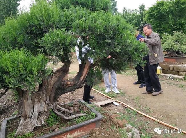 /upload/article/2018/05/23/ce0d27ae-e732-42ac-9024-479321161b3c.jpg