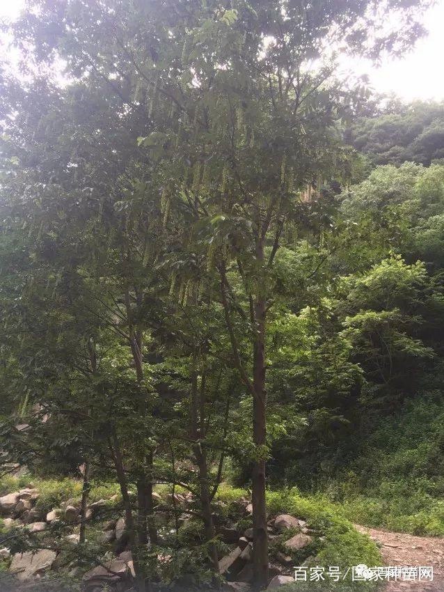 /upload/article/2018/05/29/24d514de-973e-4767-899b-5e7db3d15b60.jpg