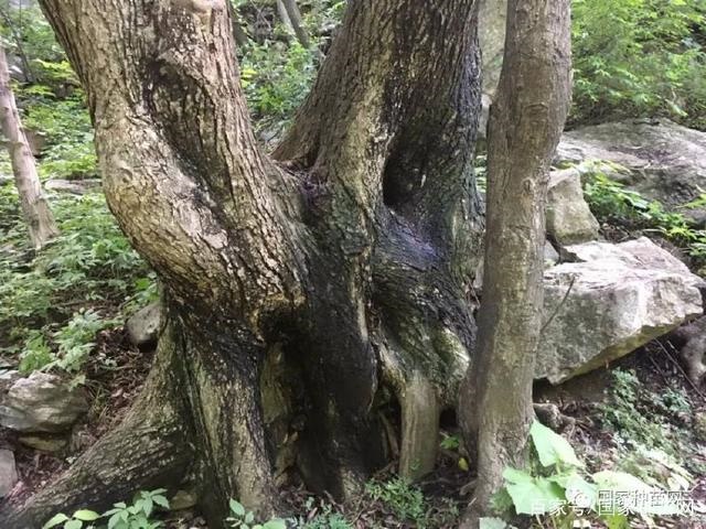 /upload/article/2018/05/29/e0e2052e-5633-4512-a883-825270a03625.jpg