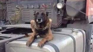 /upload/article/2018/06/04/770b32cb-4fc0-46e4-808f-8907b16ed592.jpg /upload/article/2018/06/04/770b32cb-4fc0-46e4-808f-8907b16ed592.jpg