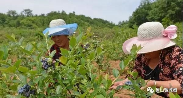 /upload/article/2018/06/25/5d102913-e773-4b66-ab53-6bd570c5d07a.jpg