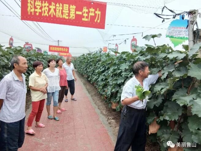 /upload/article/2018/07/13/09198fd4-fa23-4fff-952c-b9d628d78e0b.jpg