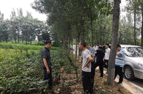 /upload/article/2018/08/04/ec29b8d3-7746-44ca-8a98-fa0f71553e38.jpg
