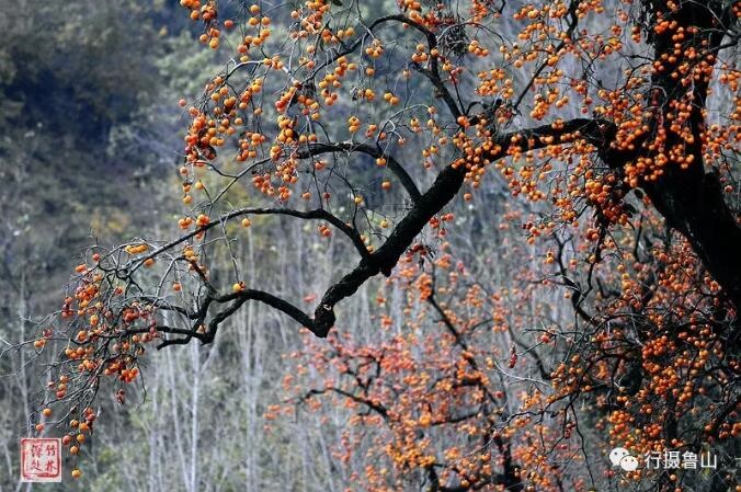 /upload/article/2018/11/12/035778c1-e197-48a0-b413-f4aaea2503c3.jpg