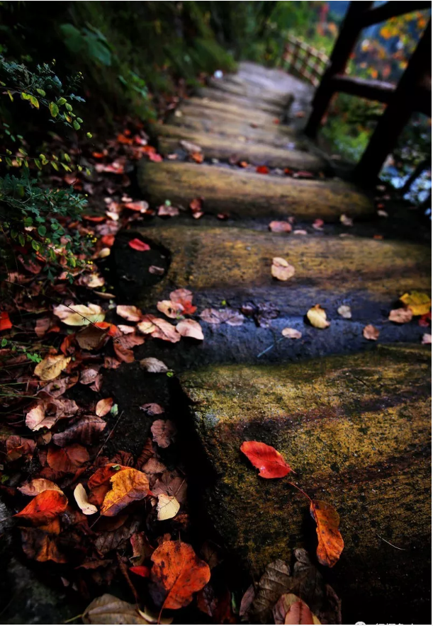 /upload/article/2018/11/12/259f6455-a2f6-479f-bc8e-284b6d81e5a0.png