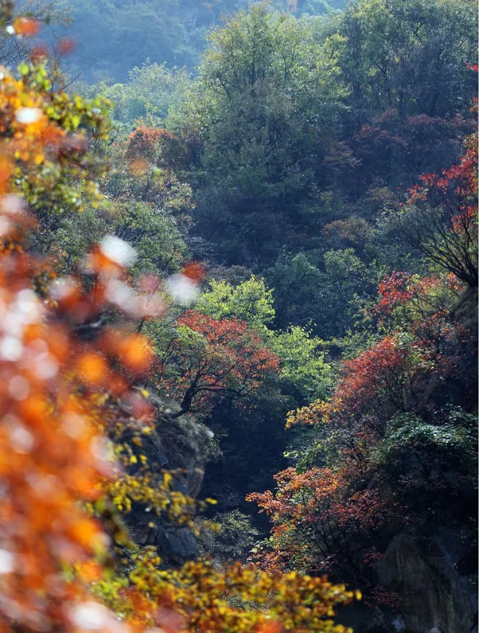 /upload/article/2018/11/12/4036edf7-fcbe-4d81-9057-815d78556701.png