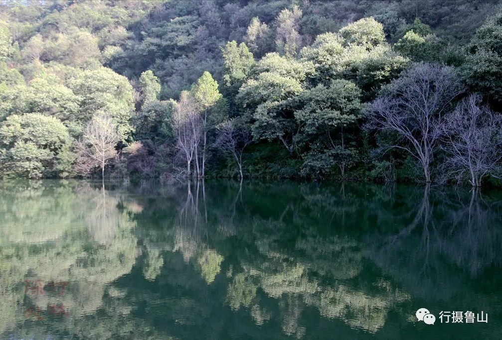 /upload/article/2018/11/12/7b5cca0c-343c-4501-96be-8615618f09fb.JPG