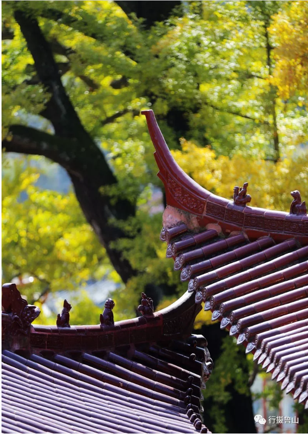 /upload/article/2018/11/12/c53a919d-1a58-48a5-9e69-81b930e470af.png