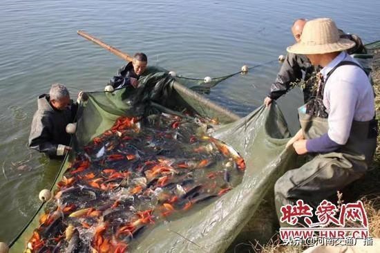 /upload/article/2018/11/18/70f1e842-4a1b-4630-88f2-c27ba1fb176a.jpg /upload/article/2018/11/18/70f1e842-4a1b-4630-88f2-c27ba1fb176a.jpg