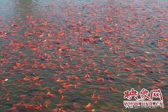 /upload/article/2018/11/18/85c0840b-d1d4-4416-aff3-f328d7cd641b.jpg /upload/article/2018/11/18/85c0840b-d1d4-4416-aff3-f328d7cd641b.jpg