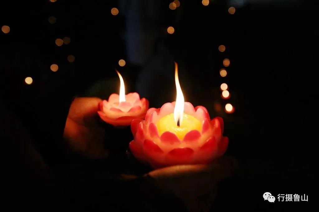 /upload/article/2019/02/15/1018c00a-73ef-4565-b2f9-2056b14d086a.jpg