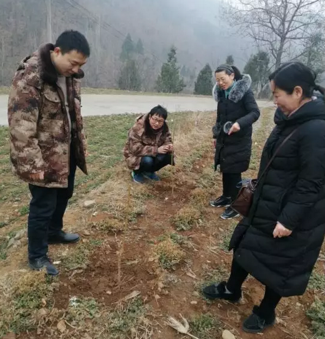 /upload/article/2019/02/26/198e03c4-d4ea-42b8-9587-e7bce50e6202.png