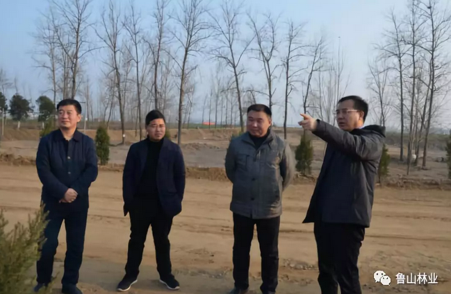/upload/article/2019/02/26/31f1665b-3a02-4f3a-ad16-2d33820b1f38.png