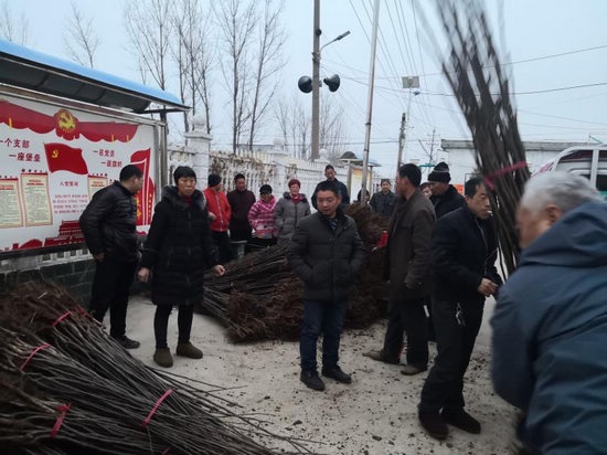 /upload/article/2019/02/26/bcdbb4e0-bce6-4ee2-8c37-3b6529b3362e.jpg
