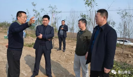 /upload/article/2019/03/11/ae1a5218-9019-4122-b792-8a9f35046fec.png