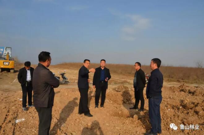 /upload/article/2019/03/12/c84b9be5-da59-430e-88f9-6cdd511632e6.jpg