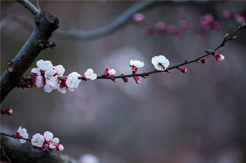 /upload/article/2019/03/19/89b5ea85-5a5f-432d-8cd2-9b9eda98534d.jpg