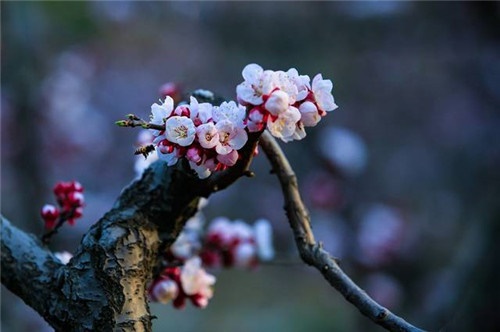 /upload/article/2019/03/19/8aa81cbd-6a33-4132-9c36-4e84e4f5f05c.jpg
