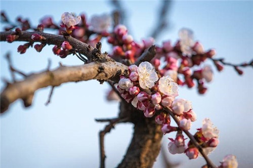 /upload/article/2019/03/19/c23b87b0-c10d-404a-9c5f-aab41de3578b.jpg