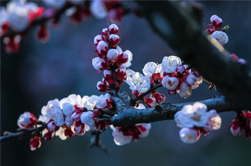 /upload/article/2019/03/19/d049896e-fafd-46ff-a090-c2f75e7f934f.jpg