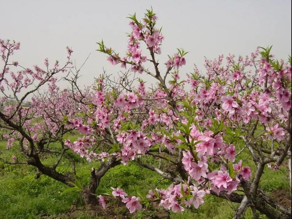 /upload/article/2019/03/20/ef081430-1fa7-4854-89f2-3e8ebd62e452.jpg