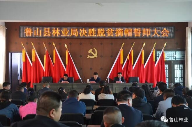 /upload/article/2019/04/23/fbd31a6c-4d1c-40ad-93a3-6e64847118eb.jpg
