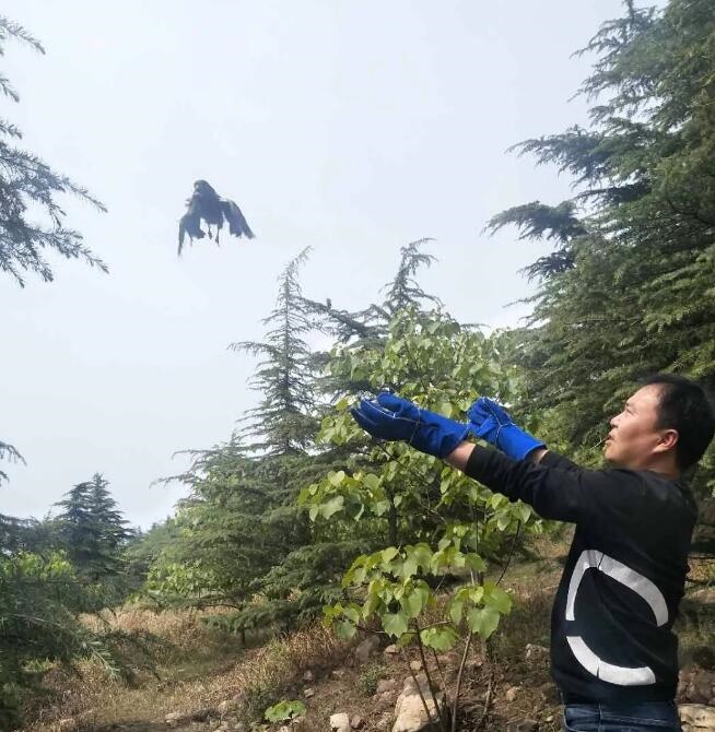 /upload/article/2019/04/30/33a5b28e-f928-473a-a698-13c28db0ab5a.jpg