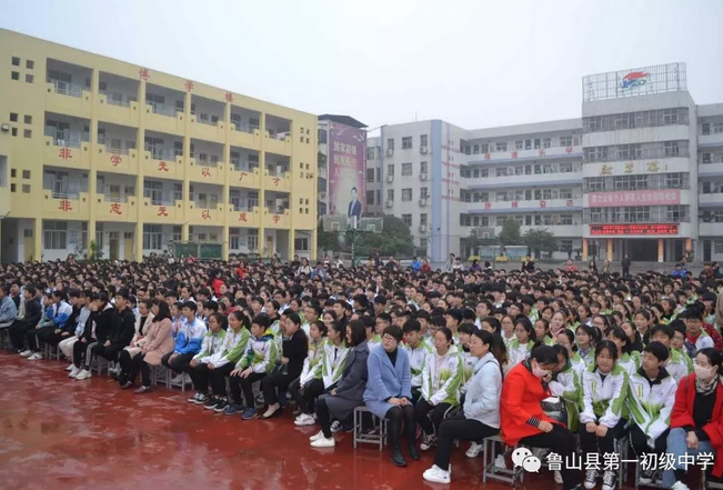 /upload/article/2019/05/07/d3878d6e-c1c4-4fa0-80dd-8a66deb056d2.png