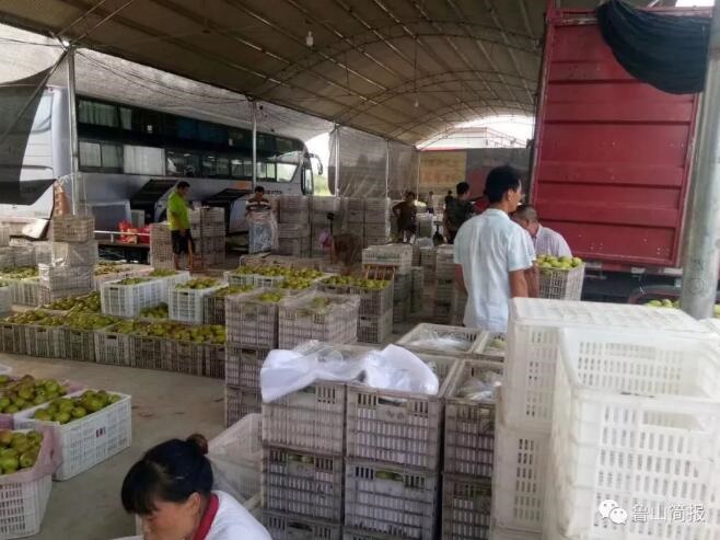 /upload/article/2019/05/13/cdaee51a-a690-4b89-9256-6a0302cd3869.jpg
