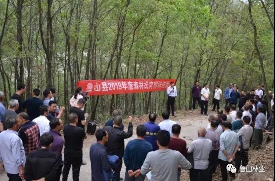 /upload/article/2019/05/17/739c9374-e577-4030-bbdb-d8e74494d01d.jpg /upload/article/2019/05/17/739c9374-e577-4030-bbdb-d8e74494d01d.jpg