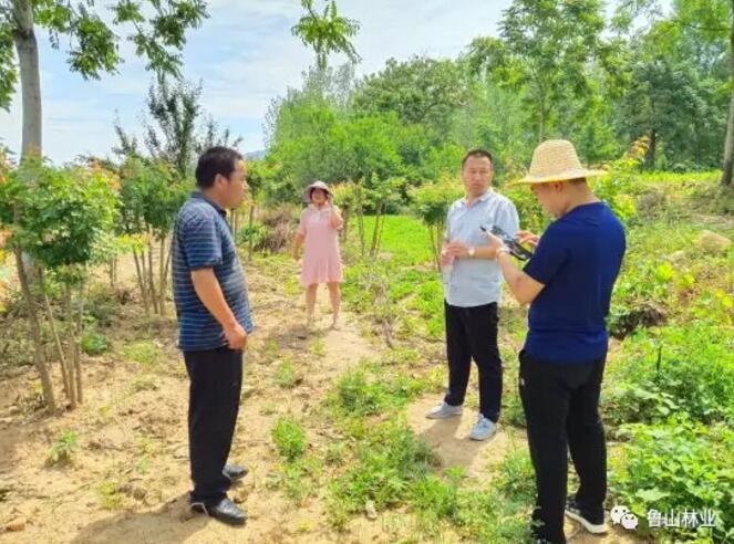 /upload/article/2019/06/12/fe4d2006-d06b-4222-999f-4004807d9566.jpg