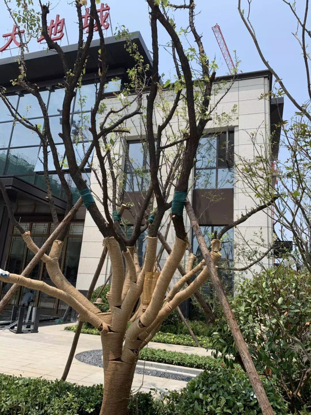 /upload/article/2019/06/13/b0118b3c-e580-4815-8fd1-ad63c6090c0f.jpg