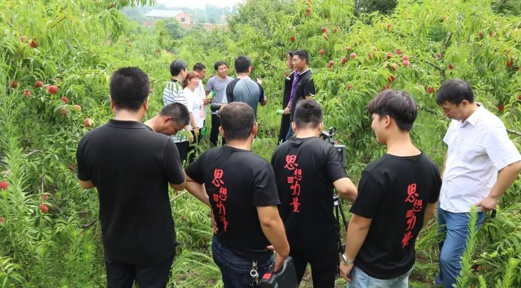 /upload/article/2019/07/20/f733920c-b247-470c-ae00-299abf30c1bf.jpg