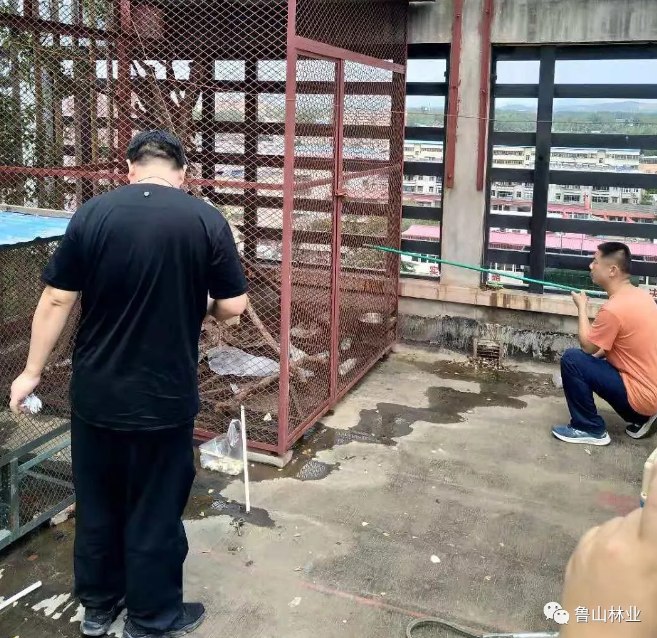 /upload/article/2019/07/24/c3e586c9-13f8-413f-a0e5-aa4c333c315c.png