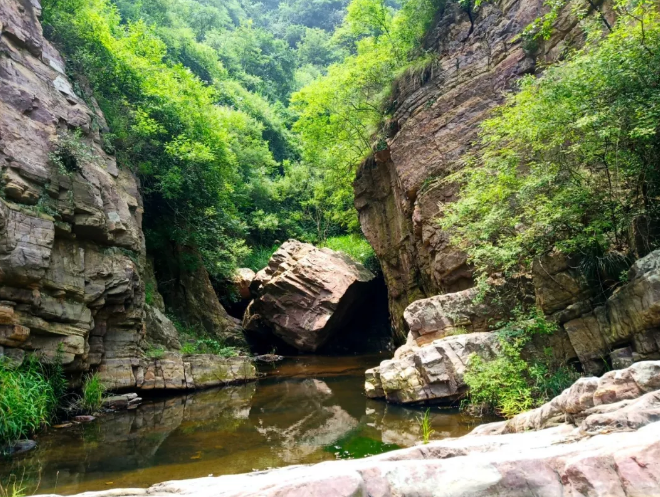 /upload/article/2019/07/26/8c446c01-d956-405a-b37f-def8652ce2f8.png