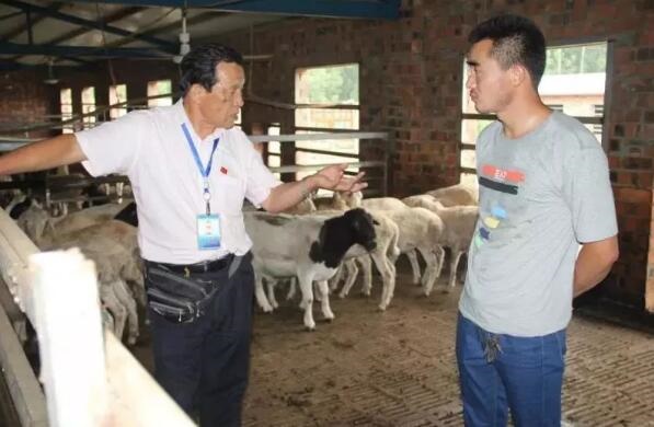 /upload/article/2019/08/20/ce360e6d-8b75-46c6-bc33-9a17b10ea123.jpg